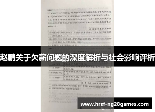 赵鹏关于欠薪问题的深度解析与社会影响评析