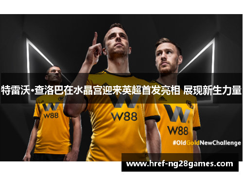 特雷沃·查洛巴在水晶宫迎来英超首发亮相 展现新生力量